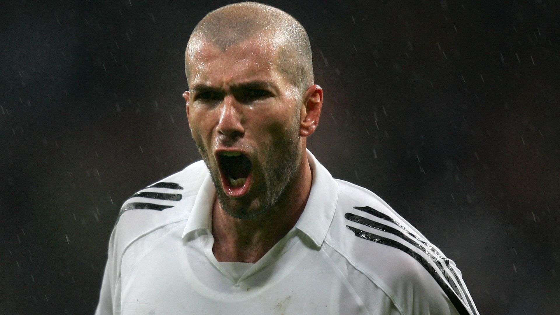 提升形成鲜 提升形成鲜